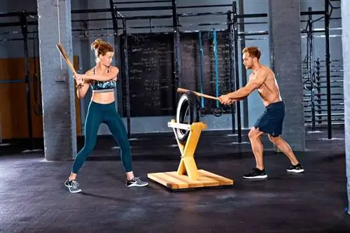 тренировка козла отпущения