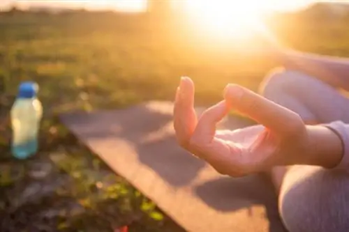 Аштанга-йога: как это работает – упражнения и эффекты