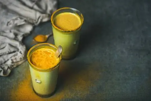 Золотое молоко: вкусный напиток из куркумы, полный полезных свойств