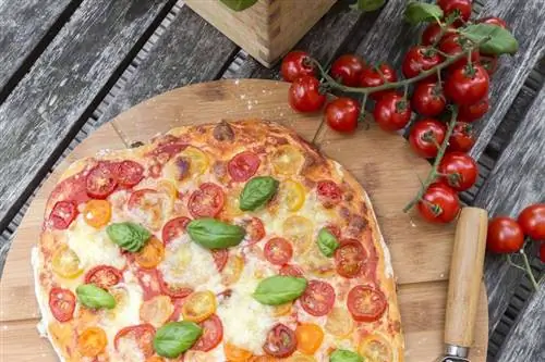 Начинки для пиццы Какие начинки можно положить?