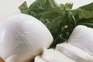 Лучшие источники белка, моцарелла Лучшие источники белка, моцарелла