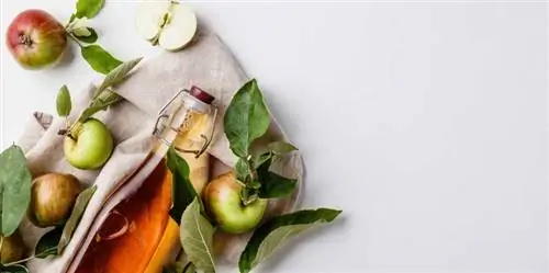 Бутылка яблочного уксуса лежит рядом с яблоками на белом фоне