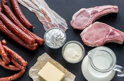 мясные и молочные продукты мясные и молочные продукты