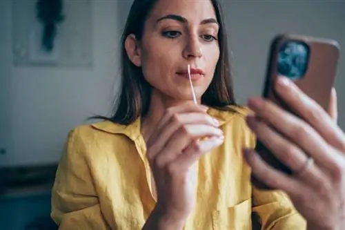 Тесты Corona: теперь приложение заменяет палочки для еды?