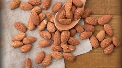 остановить аппетит