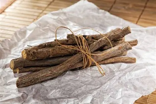 лакрица лакрица