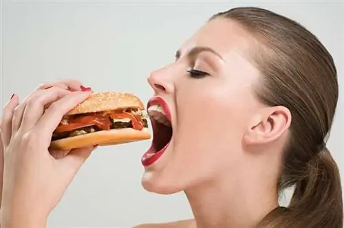 быстро и легко быстро и легко