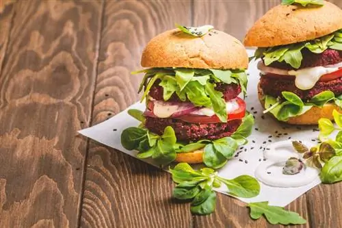 Конкурс Beyond Meat: Aldi и Lidl запускают собственные вегетарианские бургеры