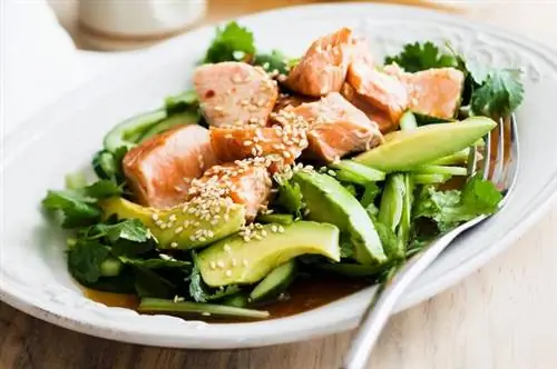 Лосось, лосось терияки, авокадо, листья салата, с низким содержанием углеводов, без углеводов