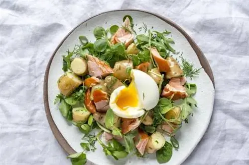 Картофельный салат с лососем и медово-горчичной заправкой