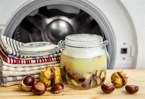 Осенний стиральный порошок: постирать с каштанами бесплатно Осенний стиральный порошок: постирать с каштанами бесплатно