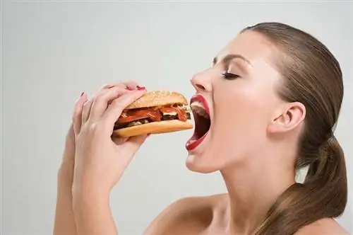 фаст-фуд, еда, диета, нездоровый, жир, жир, тонкий, похудеть, фигура