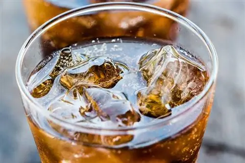 Меньше сахара, но все равно вредно для здоровья: Diet Cola, Fanta Zero & Co. могут повредить кишечную флору