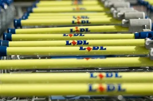 Опасность для здоровья: очередной отзыв сыра в Lidl – этот продукт затронут