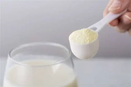 Порошок для диетического коктейля