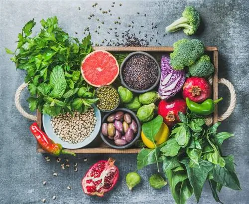 Веганские продукты в коробке