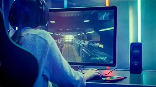 Женщина сидит перед компьютером и играет в азартные игры Женщина сидит перед компьютером и играет в азартные игры