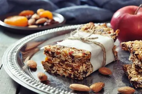 He althy Applesauce Granola Bar идеально подходит для осени He althy Applesauce Granola Bar идеально подходит для осени
