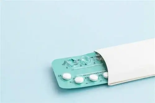 Эксперты обсуждают: Полезно ли принимать таблетки?