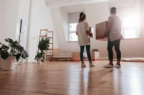 Пара переездов