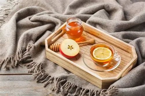 Накройте поднос яблочным чаем, лимоном и медом.