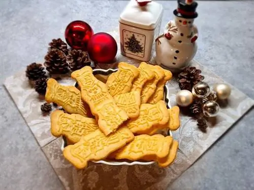 Печенье Vegan speculaas