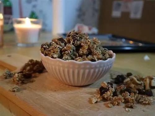 Корица Гранола