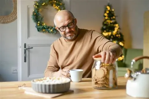 Рождественское печенье: наслаждайтесь без угрызений совести