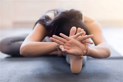 Йога от болей в спине: 5 лучших упражнений для дома