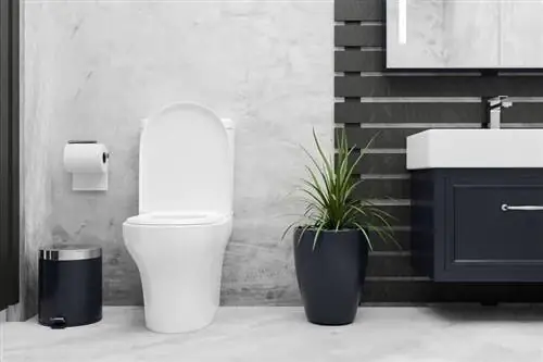 Очистите унитаз: с этими 10 домашними средствами ваш унитаз будет сверкать чистотой