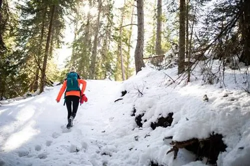 Носки с подогревом: 4 модели для активного отдыха зимой