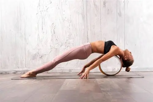 Женщина в асане сланцевого самолета с колесом для йоги