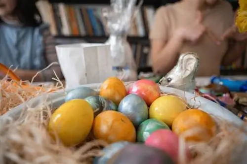 Остатки с Пасхи: Столько вареных яиц можно есть