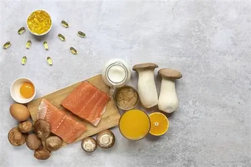Если нет солнца: эти четыре продукта содержат много витамина D