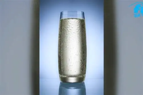 Модный напиток или пиар-шутка? Похудеть с помощью жирной воды