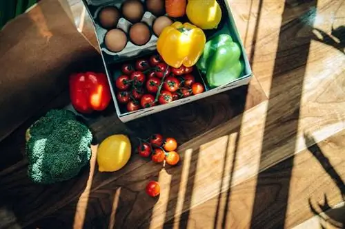 Будьте здоровы в Новом году: пройдите курс Veguanuary с веганскими продуктами