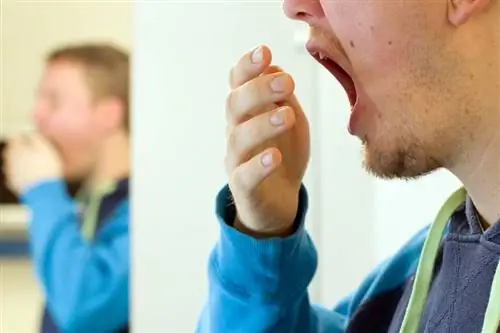 У вас тоже постоянно такое происходит? Вот почему зевота заразительна