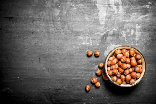 Фундук в миске на плите сланца