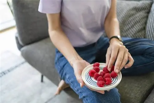 Экономьте калории: правильно порционируйте еду – вот как это работает