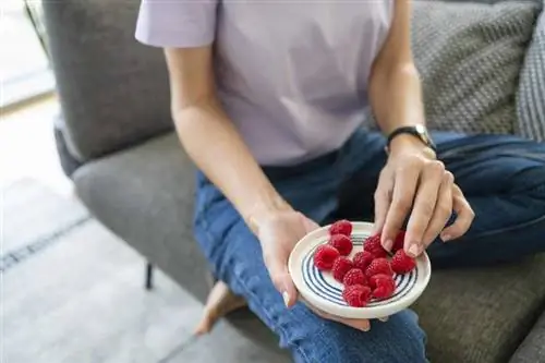 Малина на тарелке