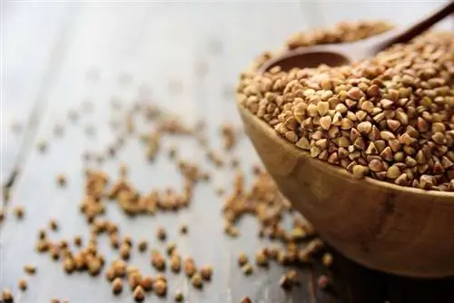 Гречка в деревянной миске с деревянной ложкой