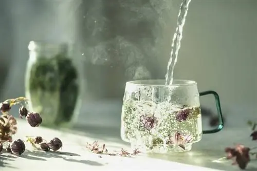 Просто пить не хочется? С помощью простых советов вы пьете достаточно даже зимой