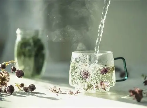 Только пить не хочется? С помощью простых советов вы пьете достаточно даже зимой