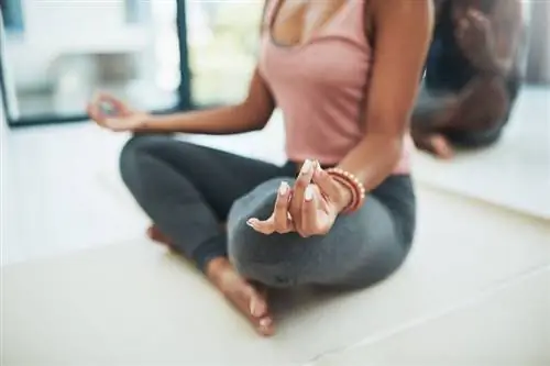 Диета Будды: вот что такое тренд в питании