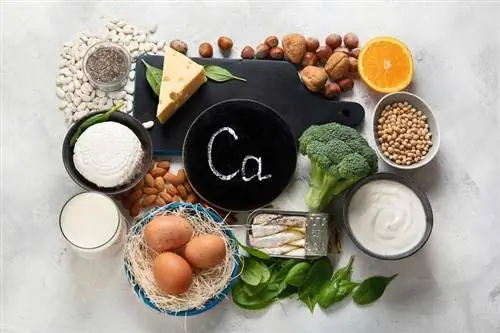 Продукты, такие как молоко, брокколи, орехи и рыба, а также табличка с надписью Ca на светлом фоне.