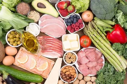 Палео или Whole30: какая диета лучше для похудения?