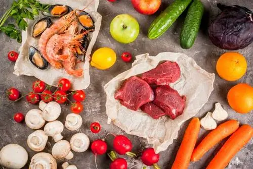продукты на палеодиете продукты на палеодиете
