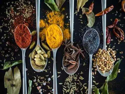Это самые полезные специи в мире