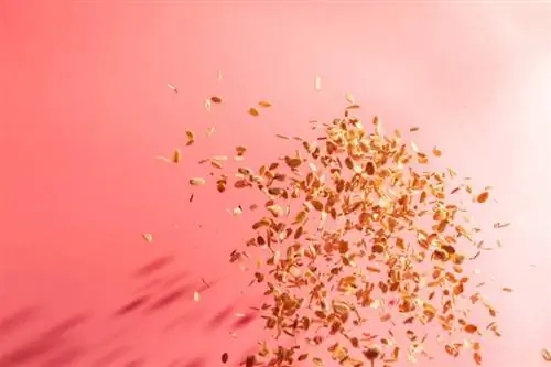 Очень вкусно! Три простых рецепта предотвращают воспаление