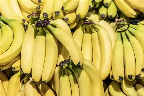 Вот почему всегда нужно мыть бананы перед едой